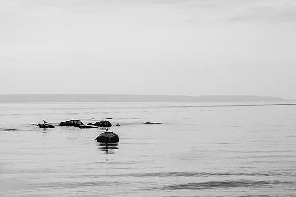 Stillness and Silence