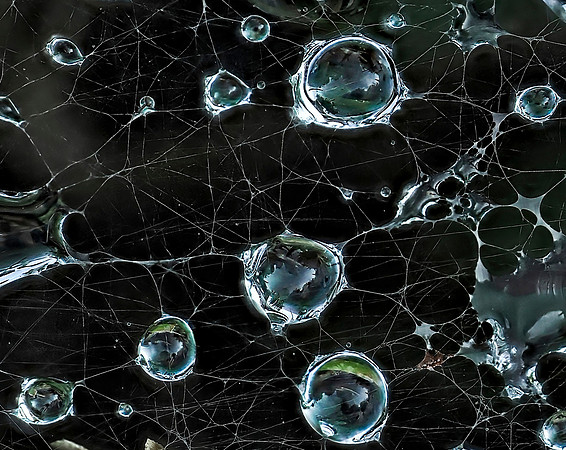 Neural Networks?
