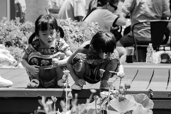 Lunchtime at Thai Wat