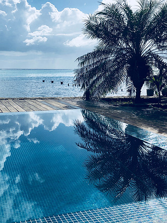 Peaceful Reflections