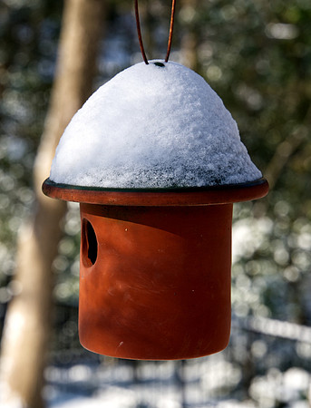 Shallow Snow Cone Bird Feeder