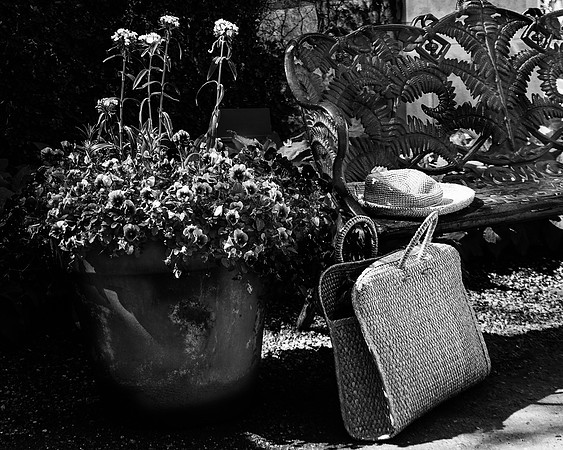 Within a Walled Garden