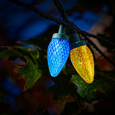 Complimentary Christmas Lights