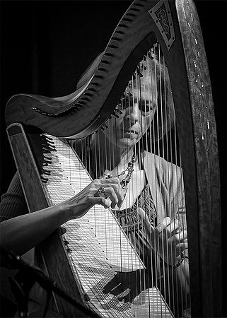 Fantasie for Harp Op 95
