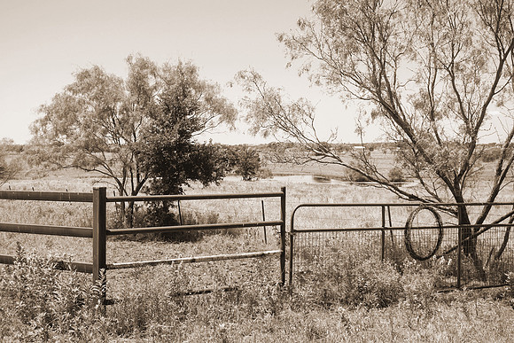 Down on the Ranch