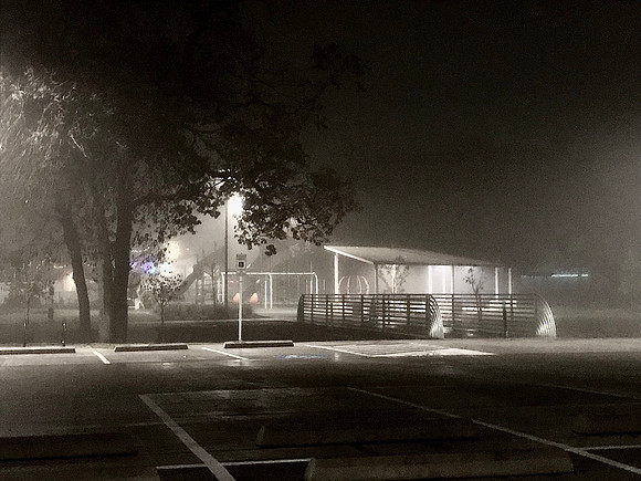 Park Shines through the Fog