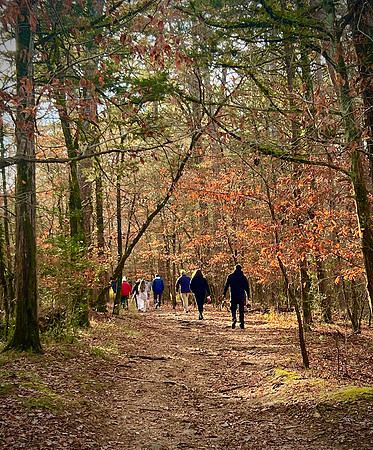 The Road Less Traveled?