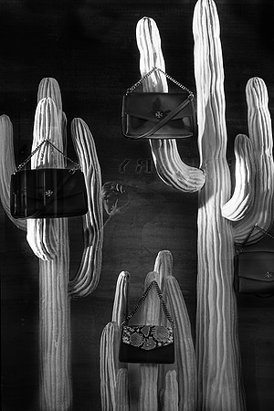 Ghost Among the Cactus