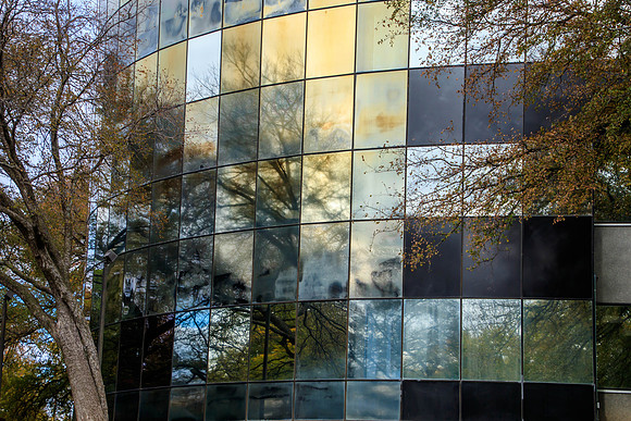 Window Art