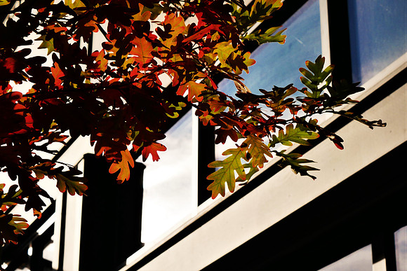 Fall's Here!
