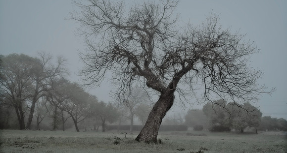 Alone