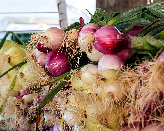 Farmer's Market