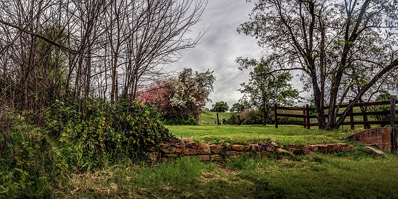 A Walk in the Countryside