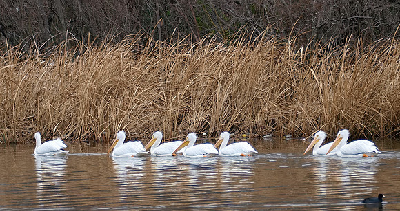The Fishermen