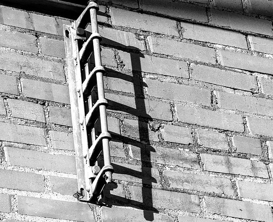 Elusive Ladder
