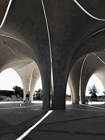 Luiz Guzman--The Concrete Petals of Confluence Park