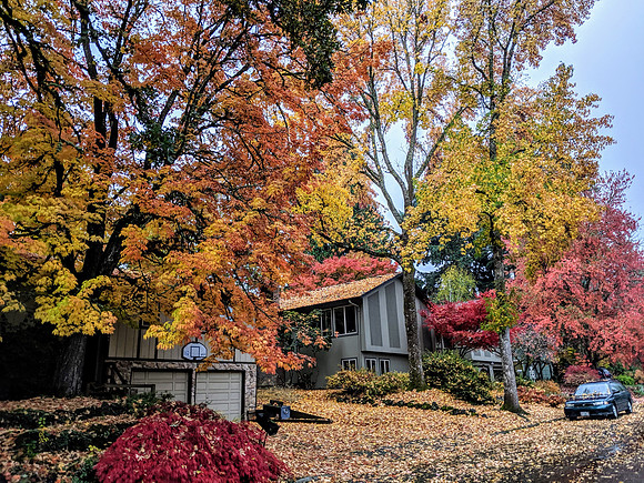 Fall Colors 3
