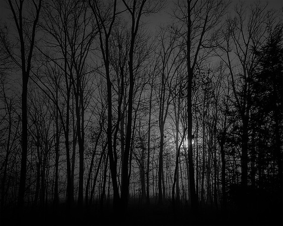 Christmas Eve Dawn