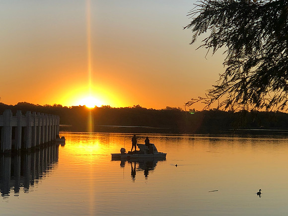 Golden Peacefulness
