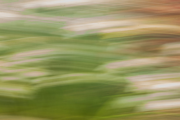 Abstract -- Daffodils in the Wind