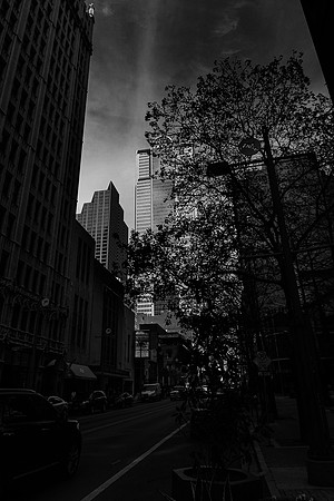 Go for the Light