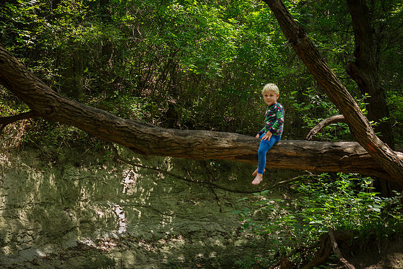 Out on a Limb