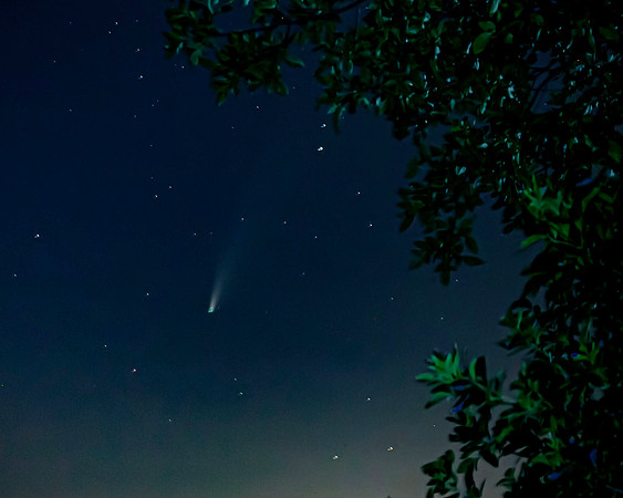 Neowise