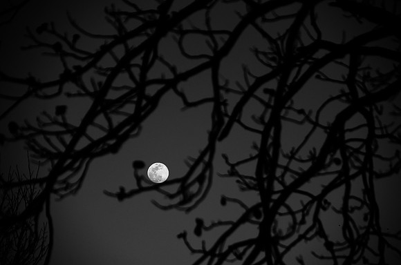 Moon Landing