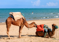 A Hot Summer Day in Tunisia-Judges' Choice Winner (28)