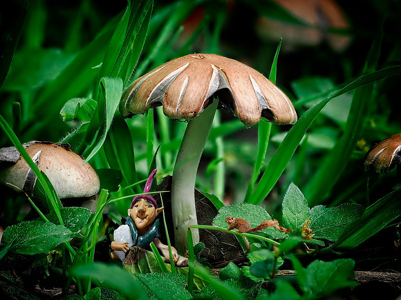The Little People