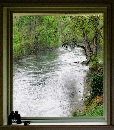 The Picture Window