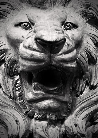 Standing Guard