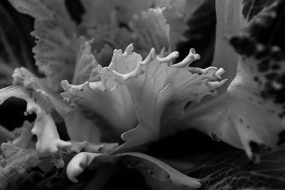 Undulation