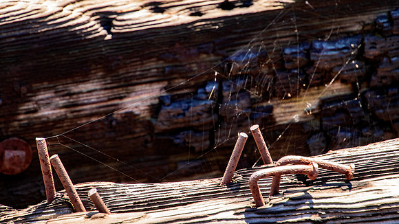 Bending Over Backwards