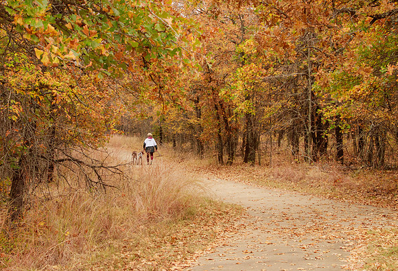 Autumn