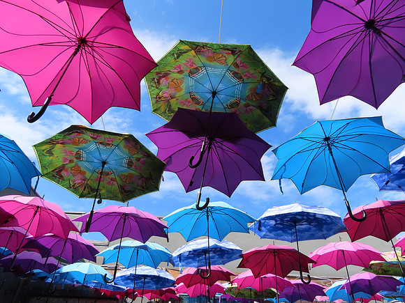 Raining Umbrellas