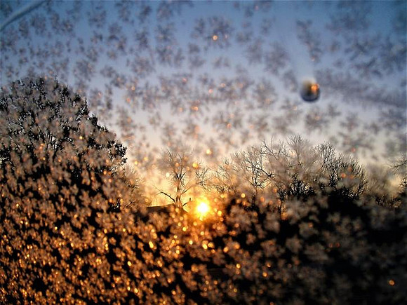 Frosty Sunrise