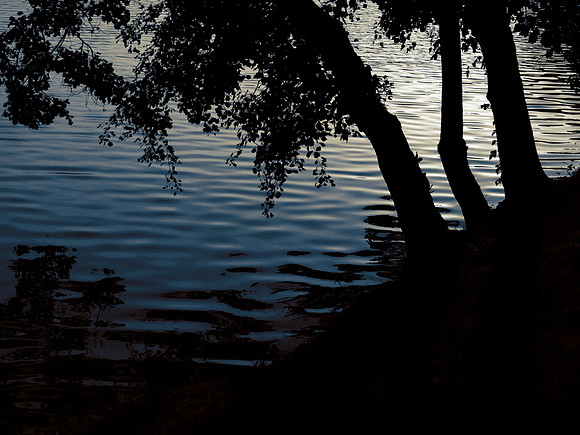 A Place of Reflection