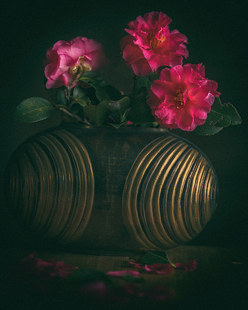 Camellia and Brass