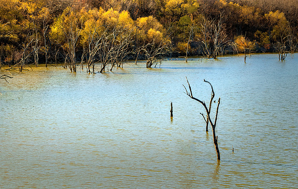 Autumn on the Lake