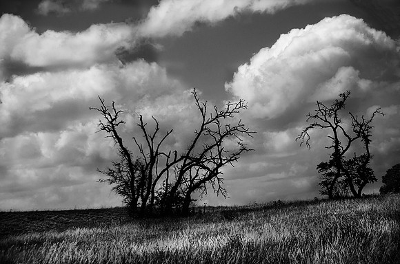 13 Dancing on a Hill