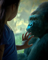 Encounter