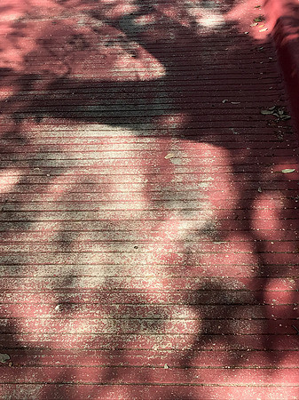 Dappled Abstract Path