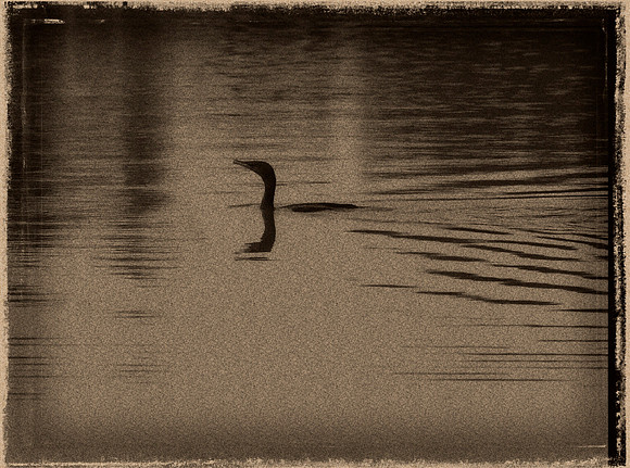 21 The Loch Ness Monster in Garland?