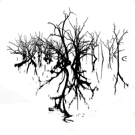 Study in Black and White