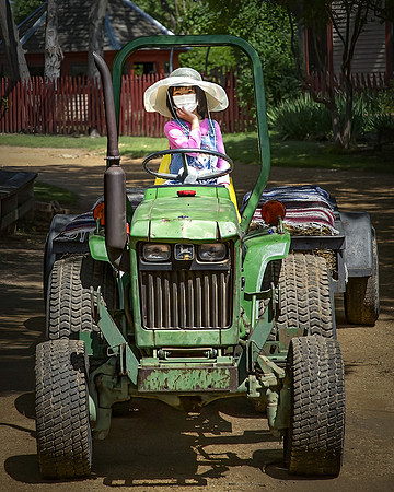 Down on the Farm