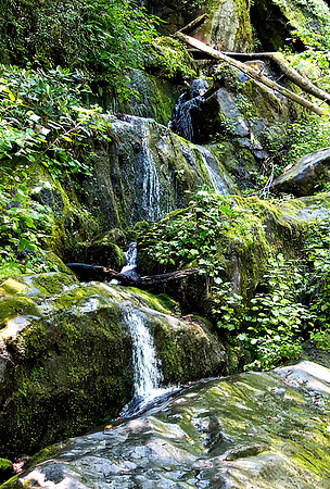 Falling Water