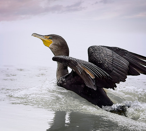 Splashdown