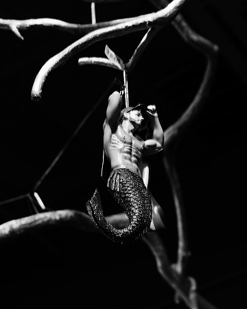 Merman