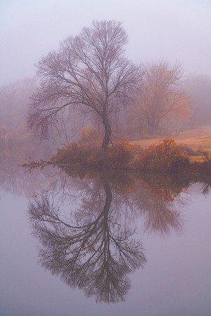 Misty Morning